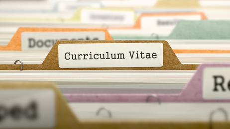 curriculum vitae